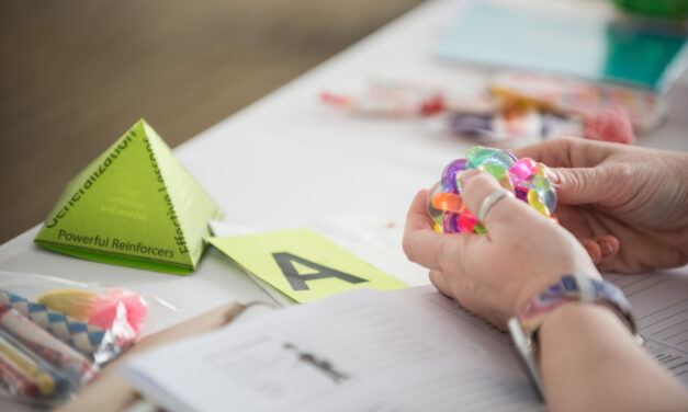 Pyramid Approach & Behavior