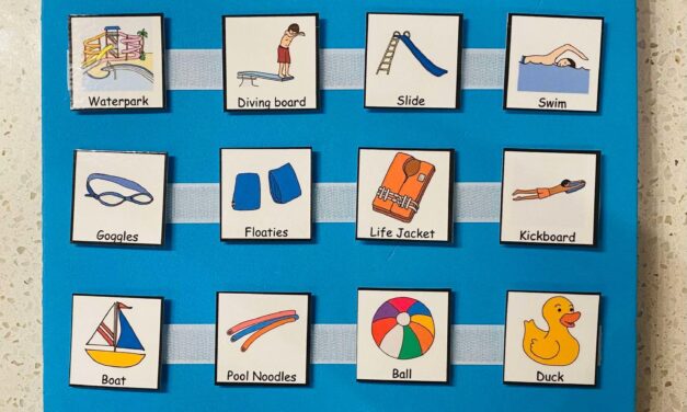 PECS<sup>®</sup> Hacks: Sharing Tips from Consultant Travels 